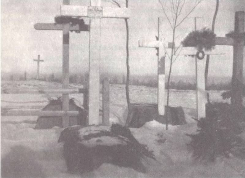 Иностранное «пушечное мясо» Русского фронта Первой мировой Иностранное «пушечное мясо» Русского фронта Первой мировой