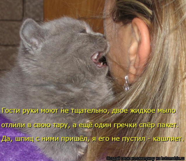 1586540415_kotomatrica-12 (640x553, 257Kb)