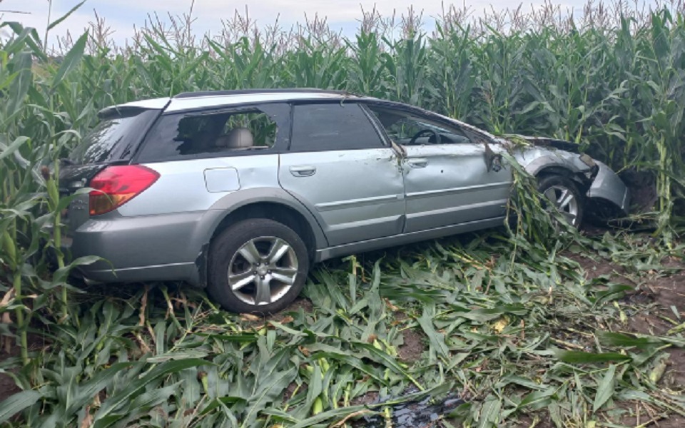 Под Рязанью в ДТП с вылетевшей кукурузу Subaru Outback пострадали дети 5, 8, 10 и 16 лет