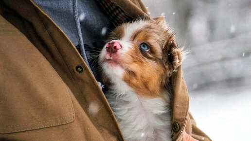 Я тебе напомню