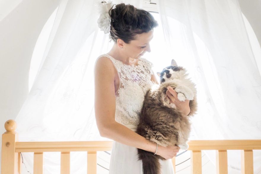 I Do Post-Marriage Private Shooting With Cats