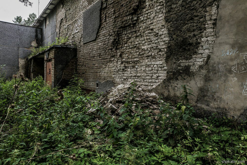 Санаторий Ивана Сусанина стоит брошенный в Костромском лесу Санаторий Ивана Сусанина стоит брошенный в Костромском лесу заброшенные здания,отдых,путешествия,Россия,санаторий