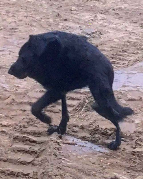 Что ты такое?! Что ты такое?!