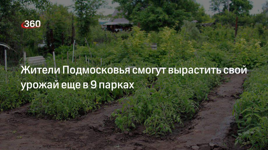 Жители Подмосковья смогут вырастить свой урожай еще в 9 парках