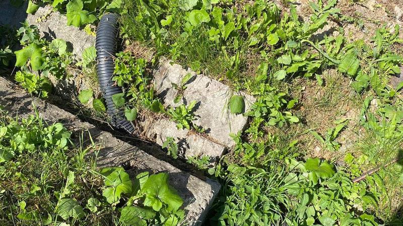 Жителю Усть-Ижоры запретили сливать отходы с участка в водоотводную канаву