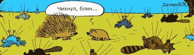 этого нифига себе чихнула картинка поднимем немного