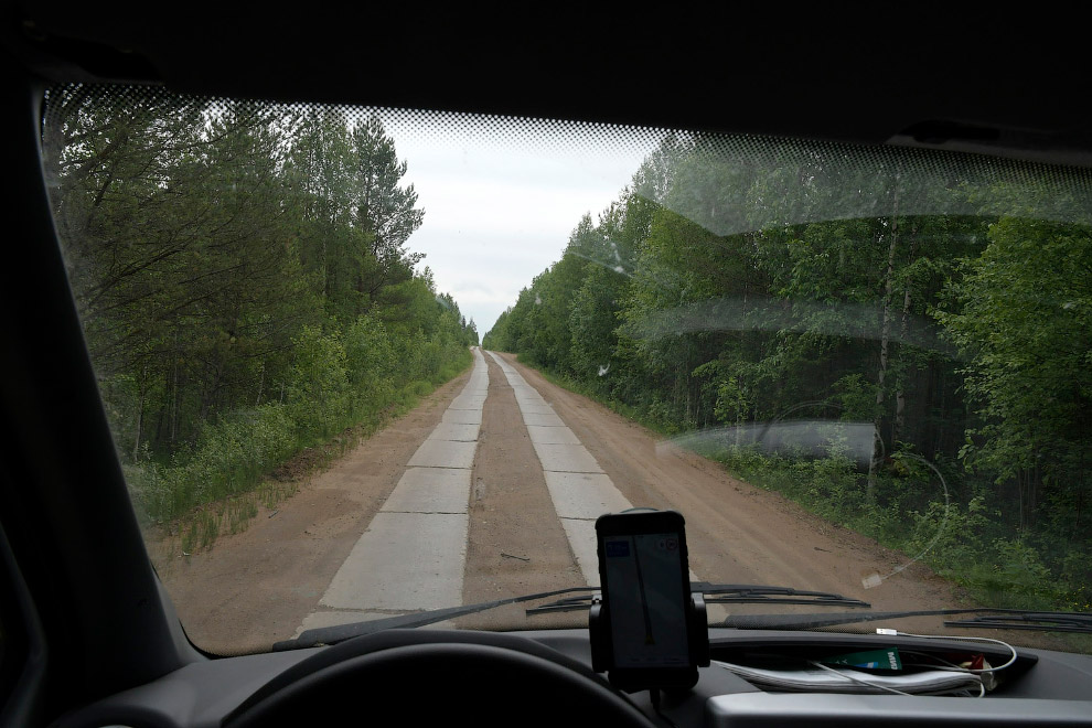 Двинско-Пинежский заказник: как исчезают первозданные леса путешествие,Россия,туризм,экология