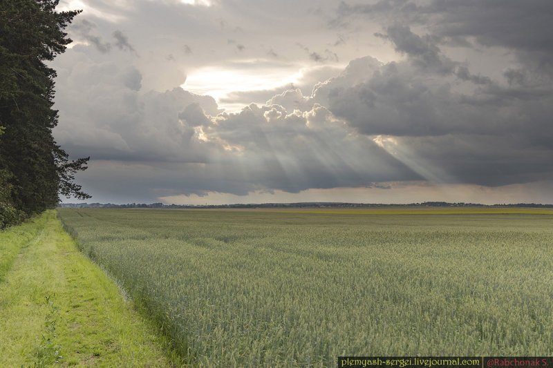 Белорусские просторы белорусия, путешествия, репортаж, фото