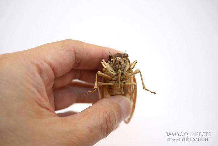 Удивительные насекомые из бамбука от японского мастера (12 фото)
