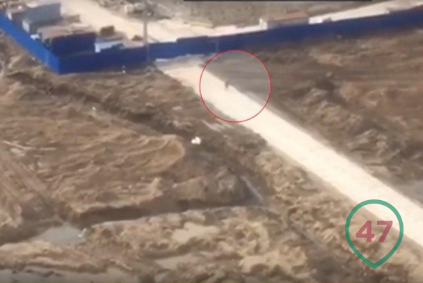 Видео: Строитель Довуджон подбил камнями утку в Шушарах, утащил её в бытовку и принялся готовить. Трапезу прервали полицейские