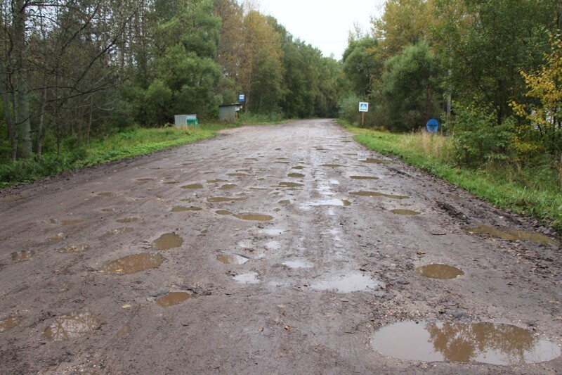 Кой и Божонка: вымирающие деревеньки Тверской области Божонка, человек, Тверской, области, место, находится, переписи, церкви, здесь, Сонково, Население, востоке, можно, увидеть, фрески, внутри, разрушено, давно, Покровской, руины