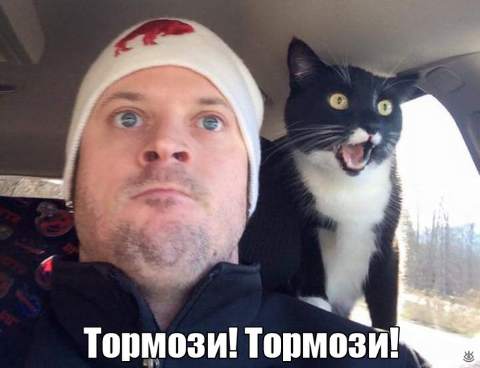 Прикольные картинки про тормозов