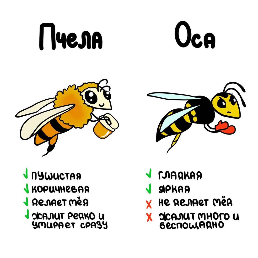 Яркие шутки и анекдоты для теплого настроения 