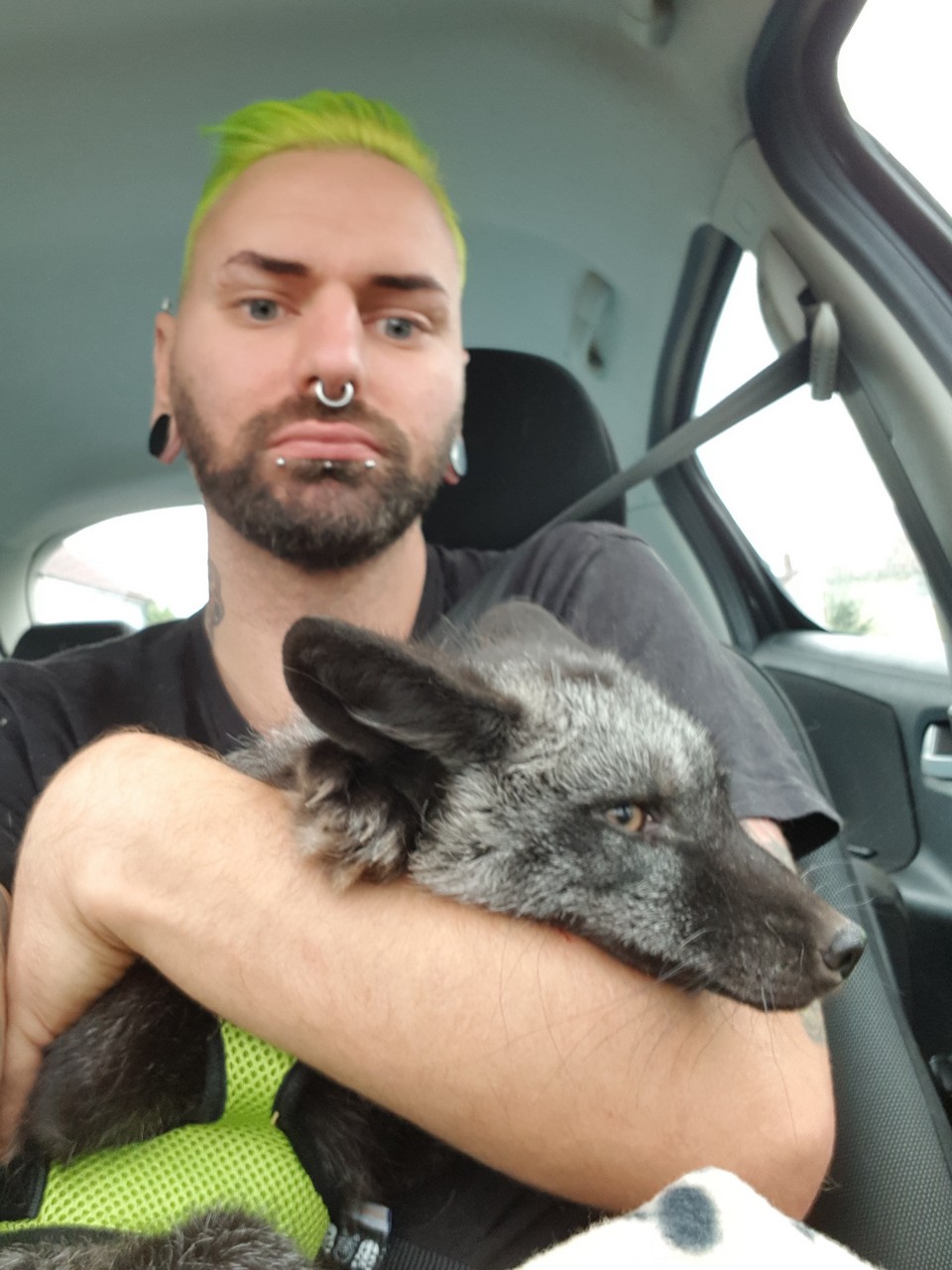 У любителя зверушек изъяли 113 экзотических домашних животных после ссоры с женихом У любителя зверушек изъяли 113 экзотических домашних животных после ссоры с женихом животные