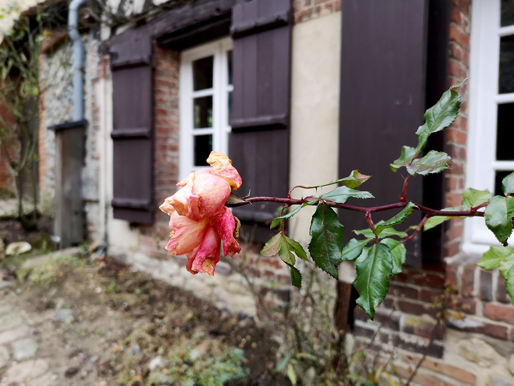 Жерберуа  – деревня роз в Пикардии авиатур