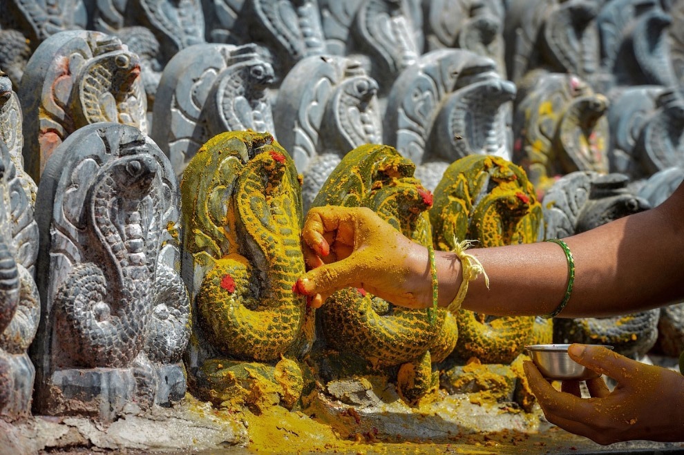 День поклонения змеям Nag Panchami 2017