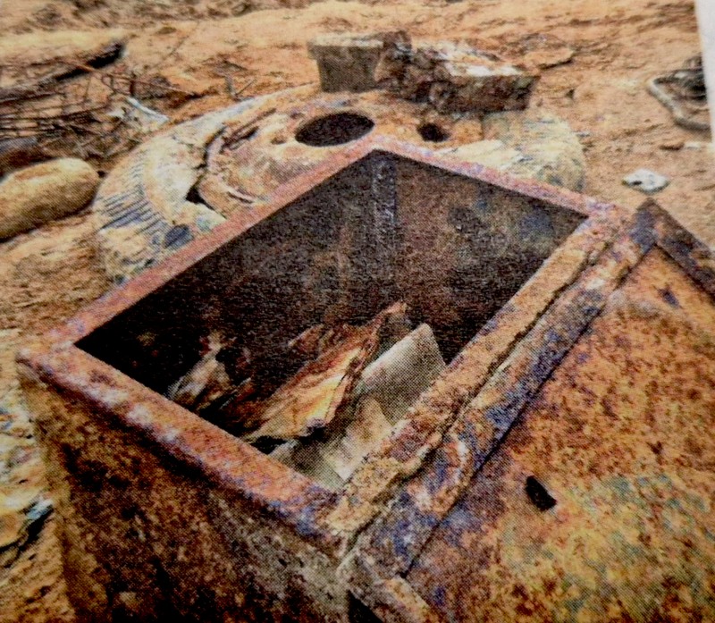 Они вернулись к нам…