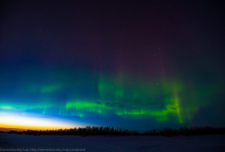 Гипнотизирующее зрелище: северное сияние в апреле Гипнотизирующее зрелище: северное сияние в апреле зима,Карелия,северное сияние