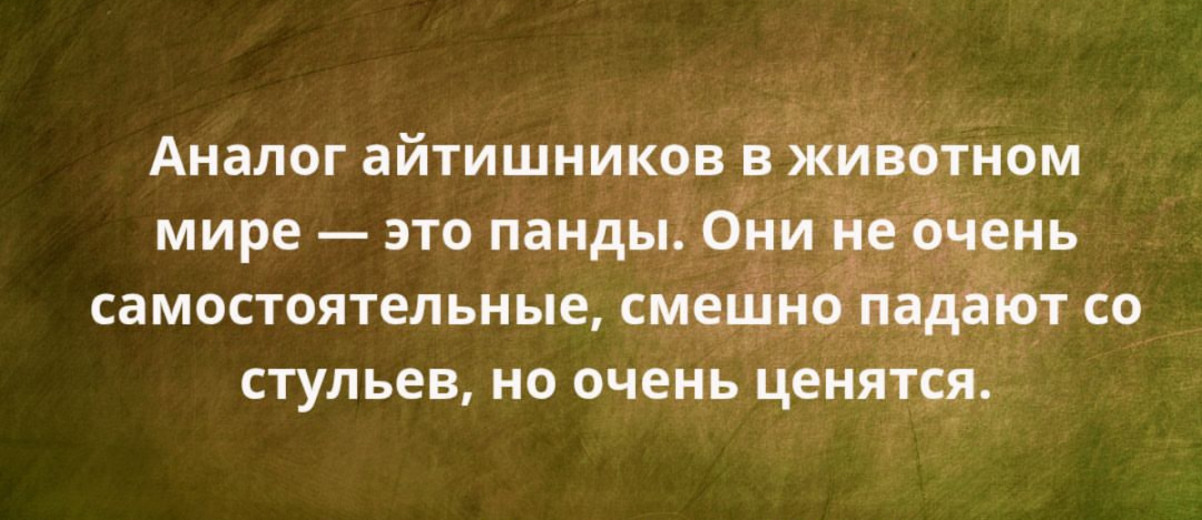 Юмор за день и корпоратив метеорологов Юмор за день и корпоратив метеорологов