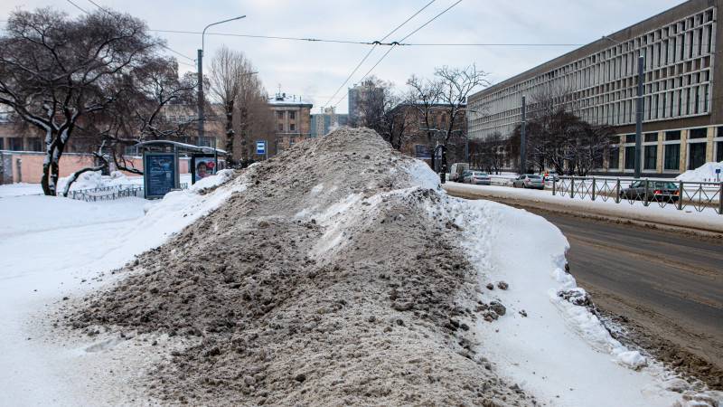 «Деньги выделяются, а результата нет»: актер Зибров призвал решать вопрос с уборкой улиц в Петербурге системно