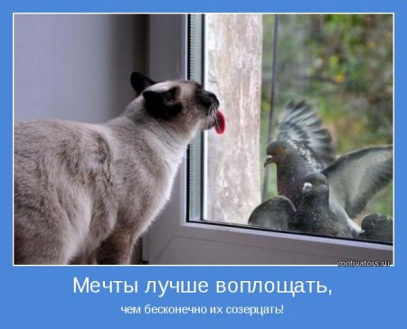 Подборка мотиваторов для поднятия настроения Подборка мотиваторов для поднятия настроения