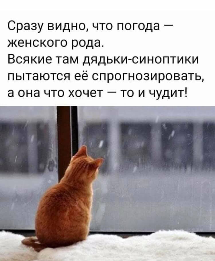 Проснулся с мыслью: скоро сессия. Рaсстроился...