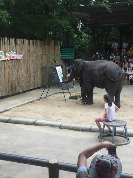 Позитивные моменты дня Позитивные моменты дня