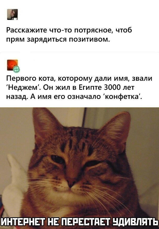 Комментарии и картинки из соцсетей