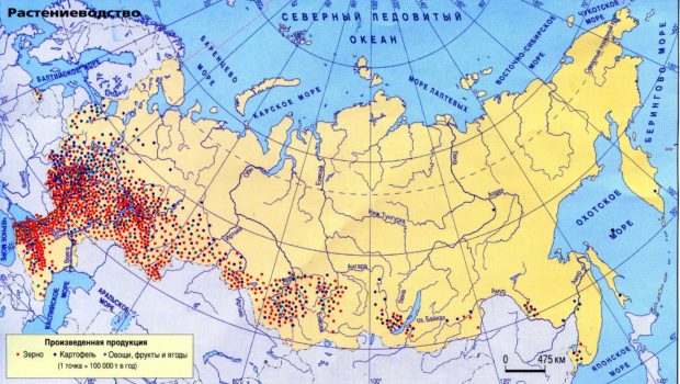 где выращивают ячмень в россии статистика по регионам