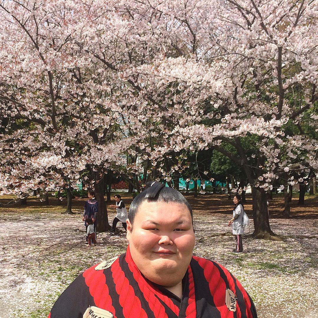 Анатолий Михаханов — настоящий японский сумоист из Бурятии