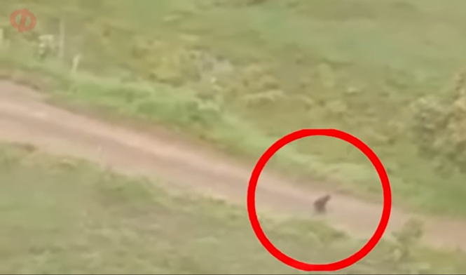 Нечто необъяснимое. Нечто необъяснимое. Стена в антарктике. Лес призраков. Нечто необъяснимое.