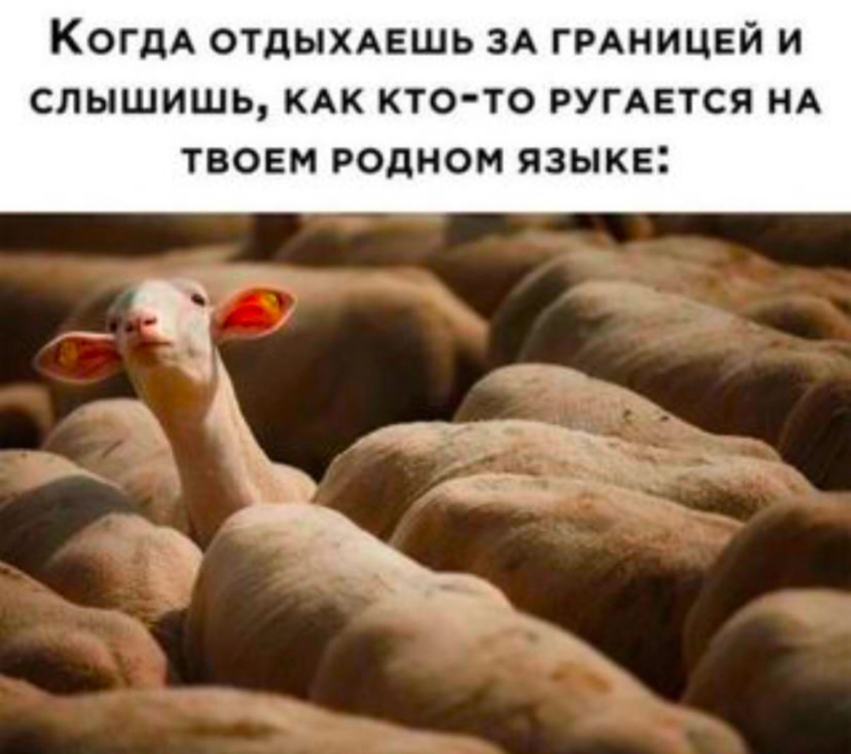 Юмор за день и корпоратив метеорологов Юмор за день и корпоратив метеорологов