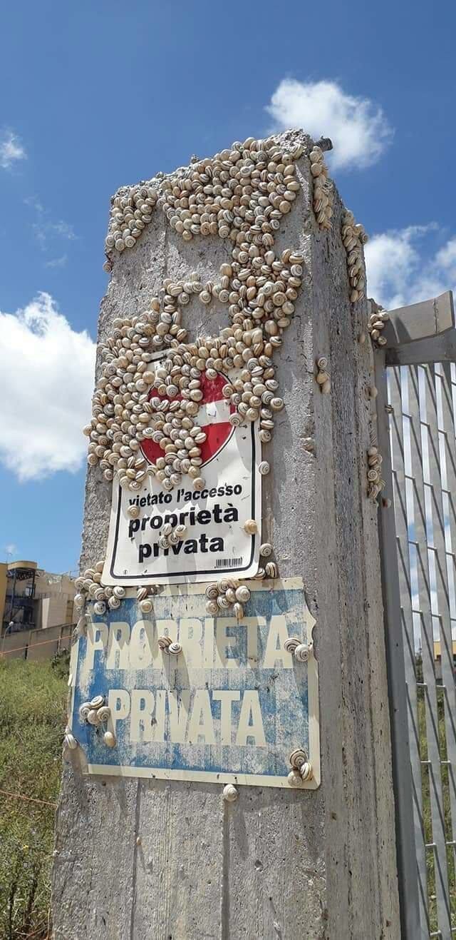 27 фотографий необычных вещей и редких явлений, которые вы увидите впервые 27 фотографий необычных вещей и редких явлений, которые вы увидите впервые интересное,мир,познавательно,удивительно