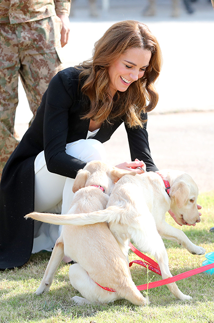 Кейт Миддлтон и принц Уильям приняли участие в дрессировке собак в кинологическом центре в Исламабаде Кейт Миддлтон и принц Уильям приняли участие в дрессировке собак в кинологическом центре в Исламабаде Монархии