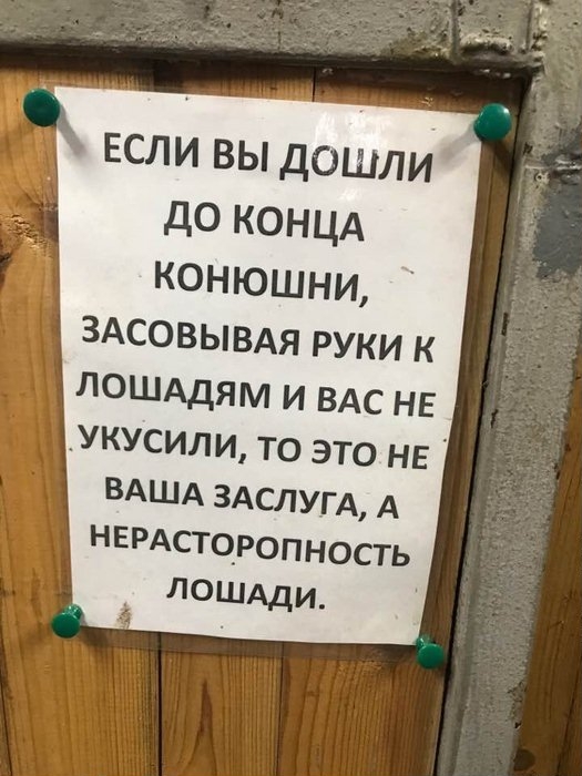 Прикольные надписи и объявления