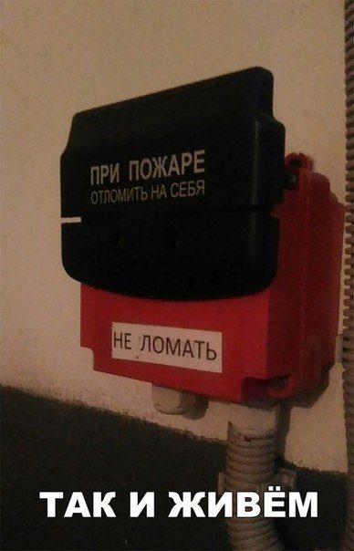 Лучшие фотомемы