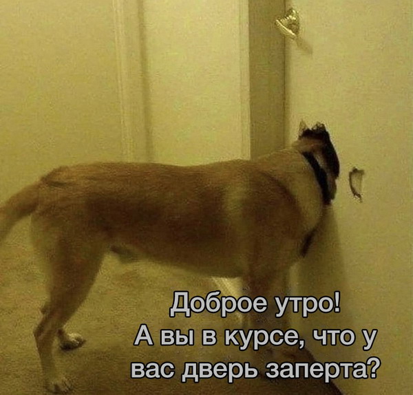 Зверский юмор Зверский юмор