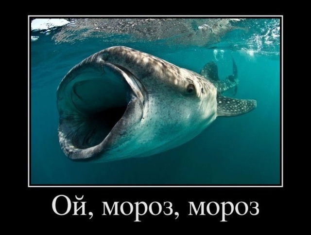 Демотиваторы - Улыбайтесь, господа, улыбайтесь! Демотиваторы - Улыбайтесь, господа, улыбайтесь!