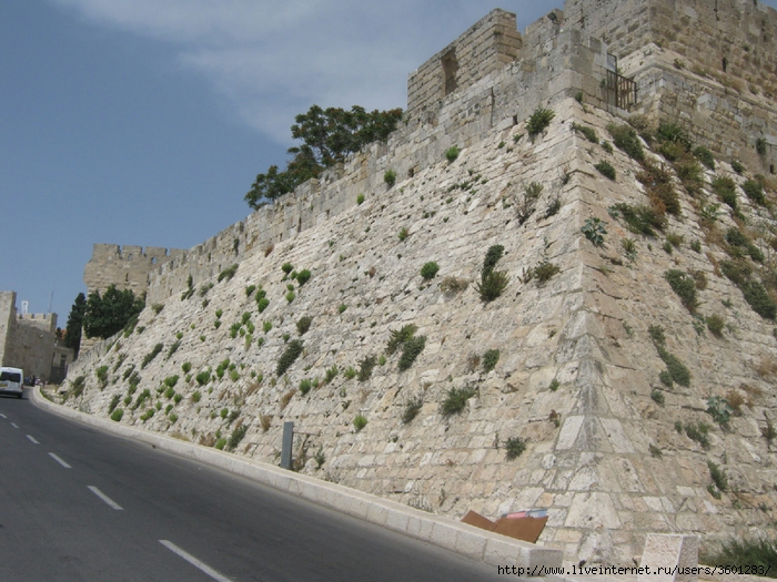 427 (700x525, 337Kb)