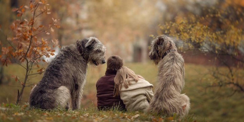 Животные, которые могут нас спасти: как собаки и кошки лечат болезни домашние животные, кошки, лечение, помощь, собаки, терапия