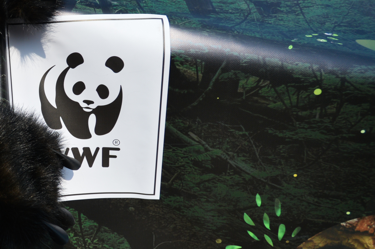 Wwf проекты в россии