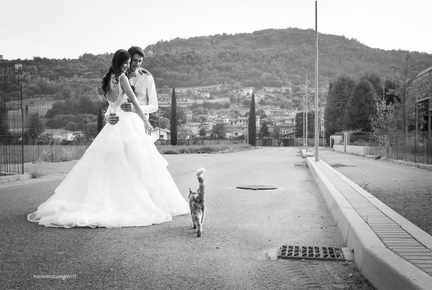 I Do Post-Marriage Private Shooting With Cats