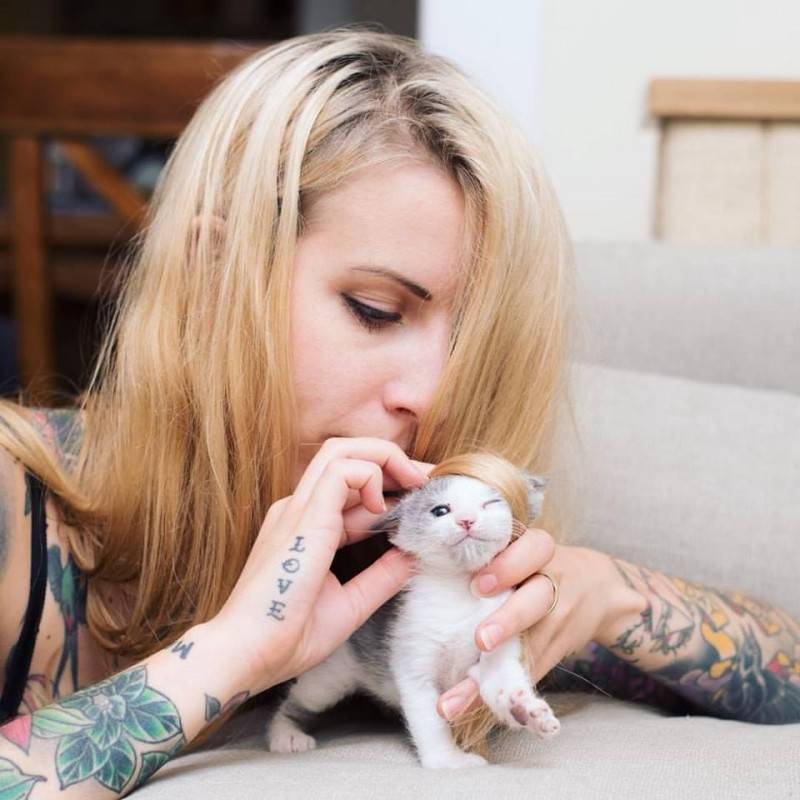 После спасения котенка 8 лет назад американка создала общество по спасению котят