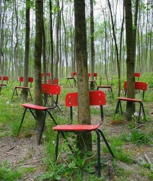 Что здесь происходит?! (24 фото)