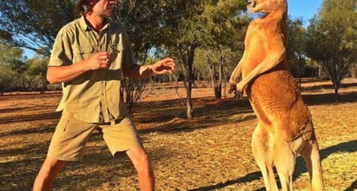10 странных фактов, доказывающих, что Австралия - необычная страна Австралия,интересное,природа,факты