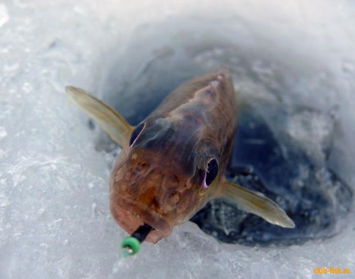 Виды чертиков