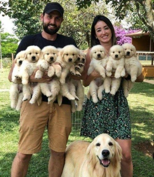 Эмоции и настроение в фотографиях Эмоции и настроение в фотографиях