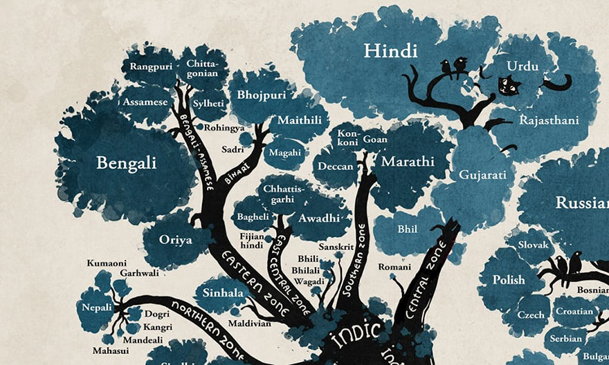 illustrated-linguistic-tree-languages-minna-sundberg-1