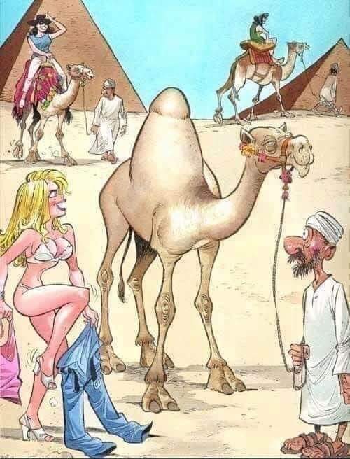 Яркие шутки и анекдоты для теплого настроения 