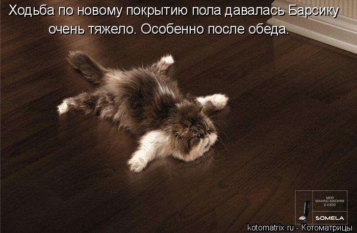 Мысли вслух :)